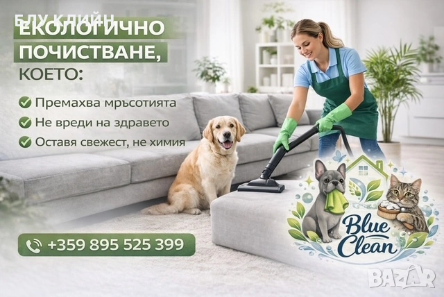 БЛУ КЛИЙН - професионално екологично почистване - ТОП ЦЕНИ
