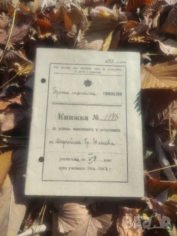 Лот стари документи : Бележник и книжка III  Софийска гимназия
