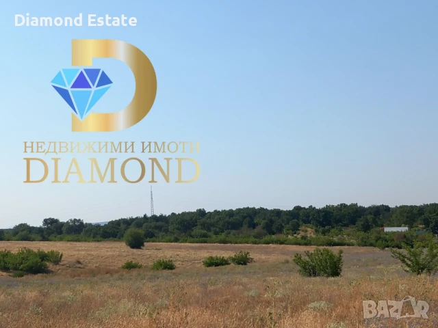 Парцел в село Александрово, обл. Хасково, снимка 3 - Парцели - 50949613