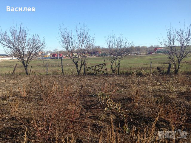 Парцел в регулация 1126 кв.м. в село Смолница област Добрич, снимка 3 - Парцели - 35554533