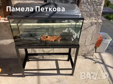 Стъклен аквариум със стойка, снимка 1