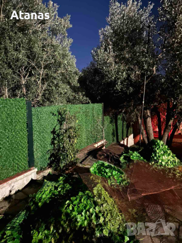 ✅Мрежа Жив Плет, снимка 4 - Огради и мрежи - 44666220