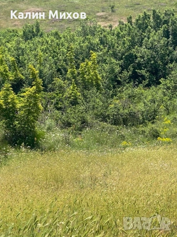 земеделска земя намираща в землището на село Белащица и Марково, снимка 14 - Земеделска земя - 52448452