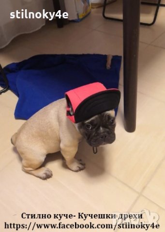 Кучешка шапка с козирка Шапки за кучета Аксесоари аксесоар за кучета Шапка за куче, снимка 10 - За кучета - 29406651