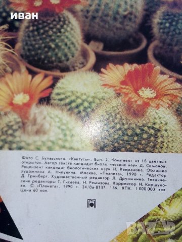 Комплект с 18 цветни картички "Кактусы", снимка 4 - Други - 30754579