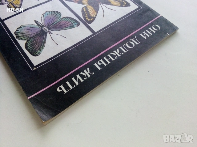 Они должны жить - Бабочки - Н.И.Кочетова - 1990г., снимка 13 - Енциклопедии, справочници - 53111027