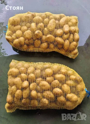 Картофи доставка до адрес в гр софия , снимка 3 - Домашни продукти - 56433715