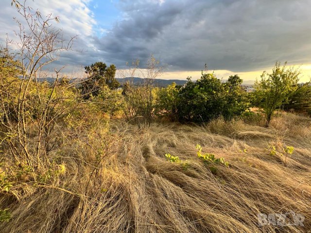 Дворно Място в Казанлък 460 кв. на Тюлбето. Парцел / Място в Източното до Калдъръмения Път 