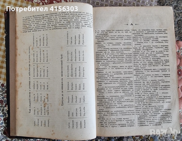 Френско-български речник. 1869., снимка 2 - Чуждоезиково обучение, речници - 53908661