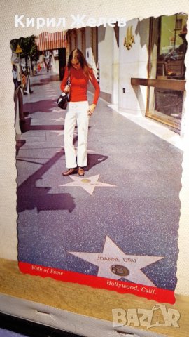 АЛЕЯ на СЛАВАТА ХОЛИВУД КАЛИФОРНИЯ - АМЕРИКАНСКА КОЛЕКЦИОНЕРСКА ПОЩЕНСКА КАРТИЧКА САЩ 18029, снимка 7 - Филателия - 38684618