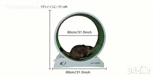 Фитнес за котки, снимка 4 - За котки - 51927054