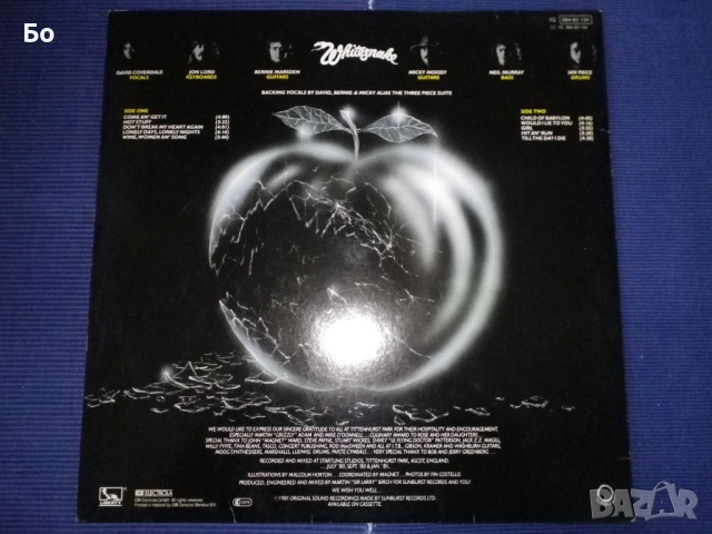 грамофонни плочи WhiteSnake , снимка 3 - Грамофонни плочи - 52474021