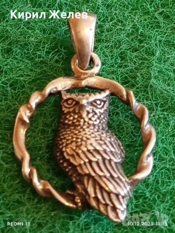 Модерен дизайн сребърна висулка БУХАЛ в ВЕНЕЦ символизира мъдрост и знание 52544
