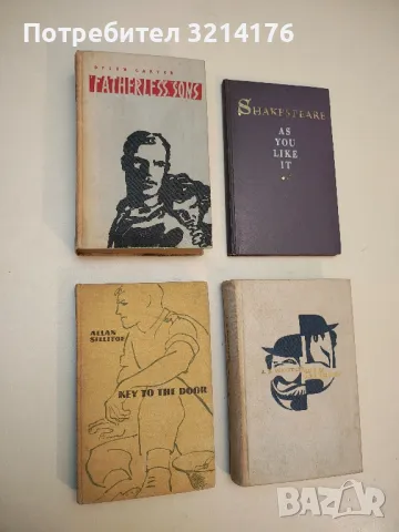 Fatherless Sons - Dyson Carter