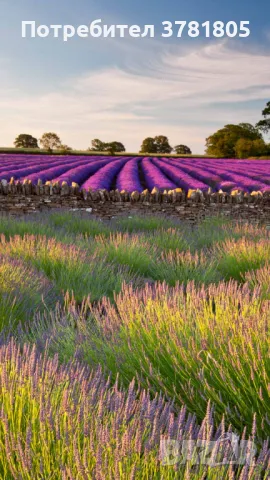Продавам земеделска земя , снимка 1