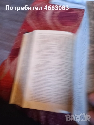 СТАРА БИБЛИЯ , снимка 11 - Колекции - 52604331