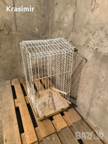 Продавам 1 клетка за папагал и една бонус при закупуването и. , снимка 2 - За птици - 50828548