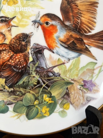 Чинията е много красива♥️ Колекционерска порцеланова чиния от серията „Hungrige Rotkehlchen“ (Гладни, снимка 5 - Други - 54117601