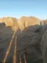 Балирано зелено сено, снимка 2