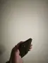 Iphone 12 mini 64GB , снимка 8