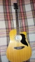 Продавам електро-акустична китара Еко, снимка 1