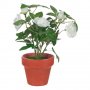 Изкуствена декоративна роза в саксия, 21 см, бяла, снимка 1 - Изкуствени цветя - 35587912