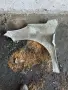 Преден десен калник Пежо 207 / 207SW сив , снимка 2