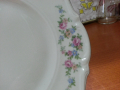 Стар немски порцелан чиния , снимка 4