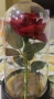 Вечна роза в стъкленица с led светлина, снимка 2