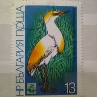 Красива колекция български пощенски марки с птици, снимка 2 - Филателия - 39801227