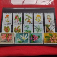 Пощенски марки чиста комплектна серия Растения, Цветя стари редки за колекция декорация - 22048, снимка 8 - Филателия - 36642246