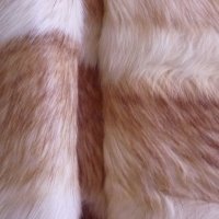 Дамско палто, естествена кожа Л-ХЛ , снимка 5 - Палта, манта - 38652427