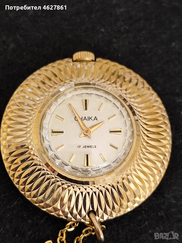 ЧАЙКА КОЛИЕ, снимка 1