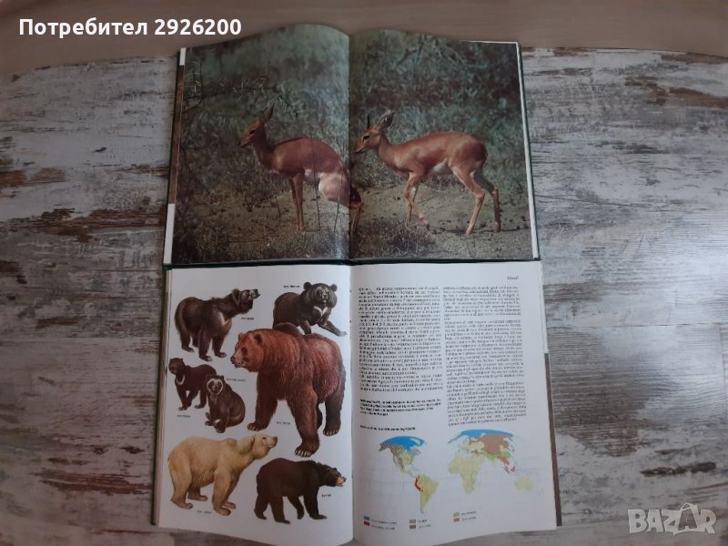 ЕНЦИКЛОПЕДИЯ ЗА ЖИВОТНИ 5БР., снимка 1