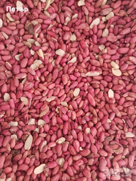 български фъстъци дребни и полувинки, снимка 1