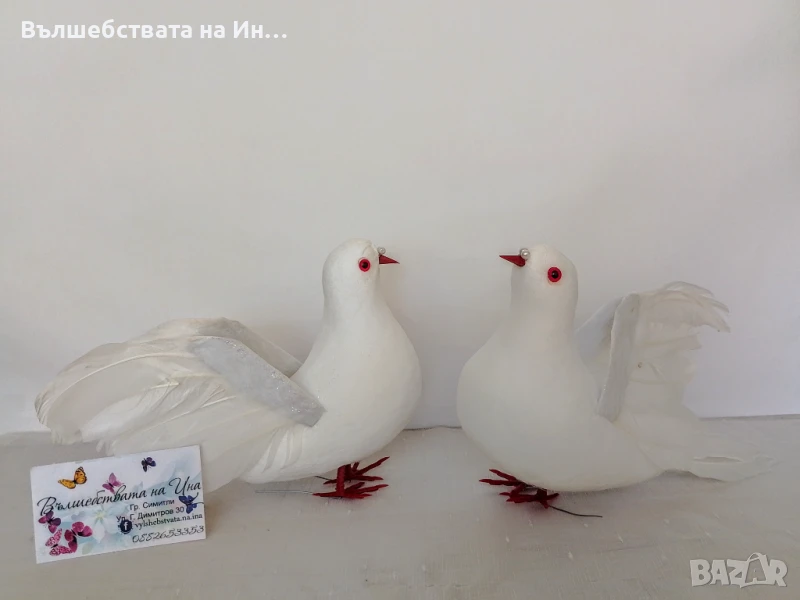 Декоративен гълъб , снимка 1