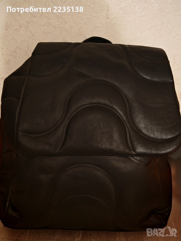 Раница, снимка 1