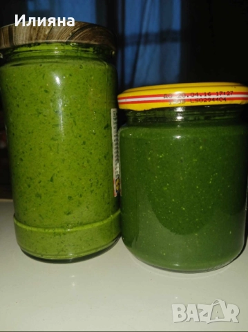 Шипка,Глог,Коприва,Лапад,Манголд,Розмарин,Самардала,Песто от Коприва, снимка 9 - Разсади - 44957834