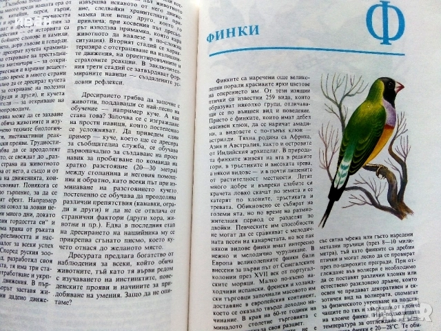 Енциклопедия на младия Природолюбител - В.Денков,К.Хаджииванова -  1992г., снимка 5 - Енциклопедии, справочници - 53111205