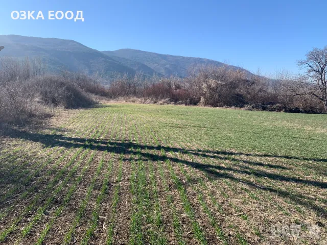 Продавам 1/3 идеални части от нива в с. Мулдава м. СТАРАТА КОЛИБА, снимка 3 - Земеделска земя - 49567536