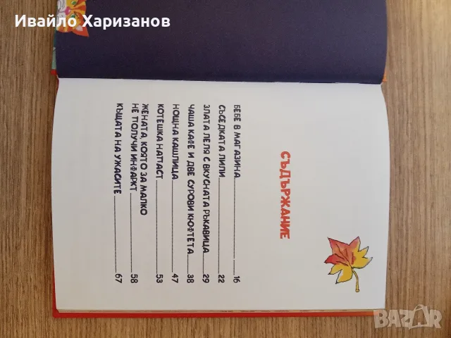 Книжка „Бари“ – Стефан Георгиев, снимка 3 - Българска литература - 56346595