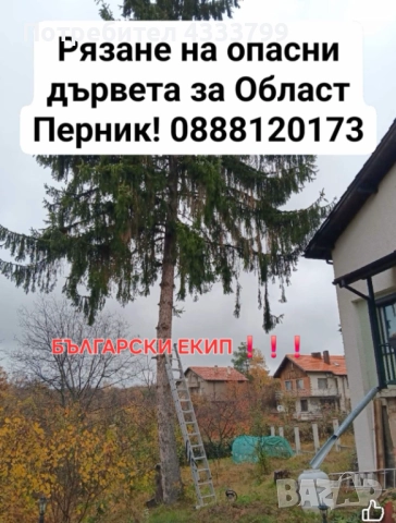 Рязане на опасни дървета 