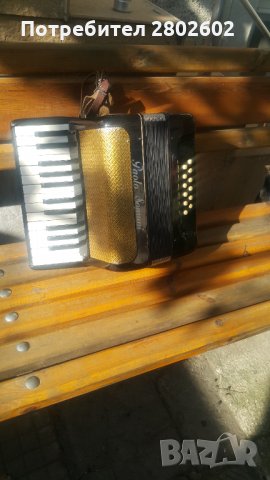 Акордеон. Малко акордеонче, снимка 3 - Акордеони - 30723040