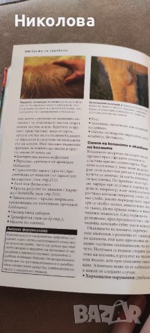 "Всичко за кучето" Д-р Брус Фогъл, снимка 4 - Специализирана литература - 40140381