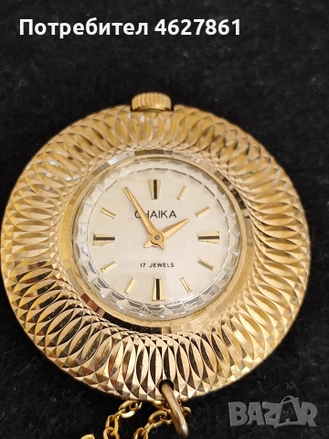 ЧАЙКА КОЛИЕ