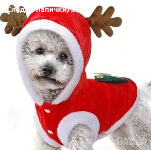 🎅 Коледна дрешка за куче – с еленски рогца и коледен дух! 🦌