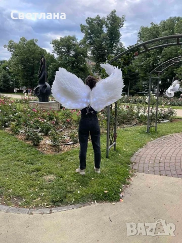 Светещи крила за танци, фотосесии и шоу программи , снимка 2 - Други - 50512484