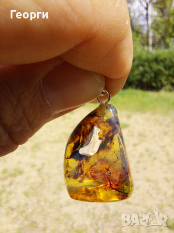 Уникална висулка от Мексикански кехлибар с отлично съхранени фосили., снимка 5 - Други - 36570243