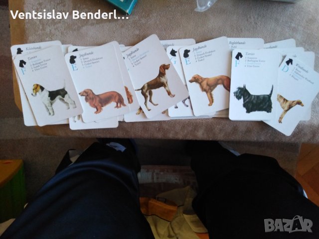 Колекционерски карти за игра, с кучета, снимка 4 - Карти за игра - 38499599
