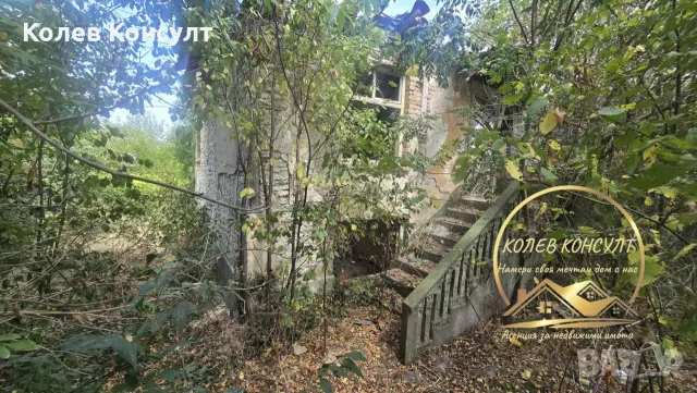парцел със стара къща Димитровград,кв.Черноконево, снимка 4 - Къщи - 56069599